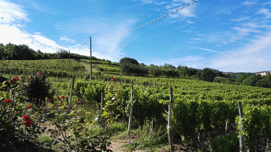 Cossano Belbo Agriturismo Tenuta San Giuseppe מראה חיצוני תמונה